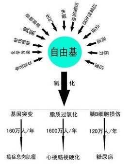 它们是血液垃圾的天敌，40岁以后还不吃，吃亏的就是你！