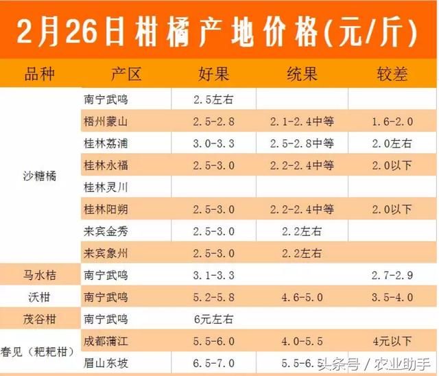 沙糖桔跌至3元以下，走货加快，晚熟品种出货不理想