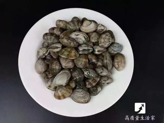 2分钟让蛤蜊蛏子速度把沙土吐干净,赶紧学起来!