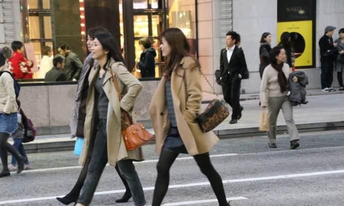 国家旅行社停止旅行