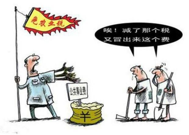 中国农民调查_农民收入负担调查(3)