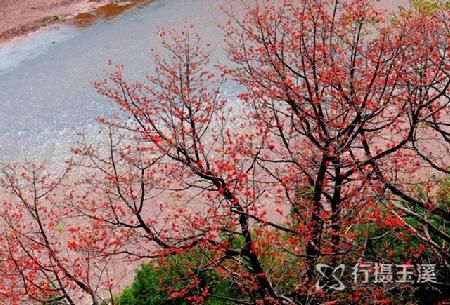 玉溪江河颂：滚滚江河东流水