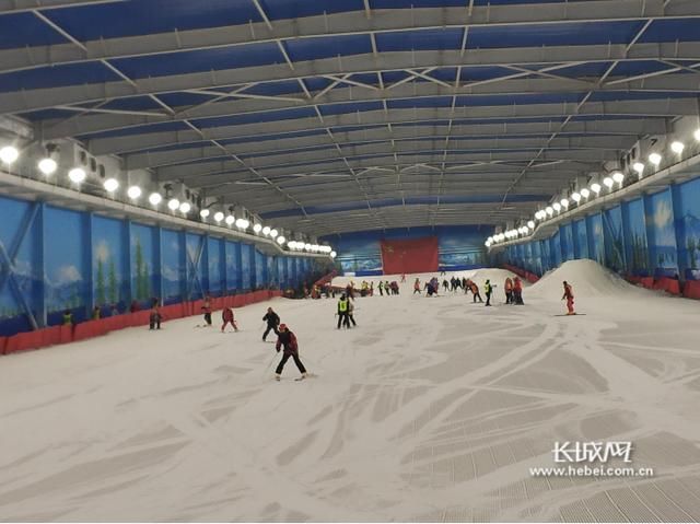 怎样参加冬奥会滑雪比赛