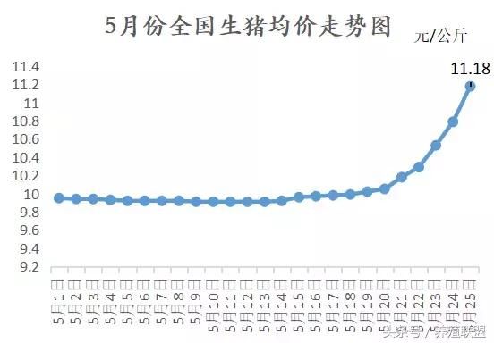 猪价破6近在眼前！各地继续发力全面飘红！