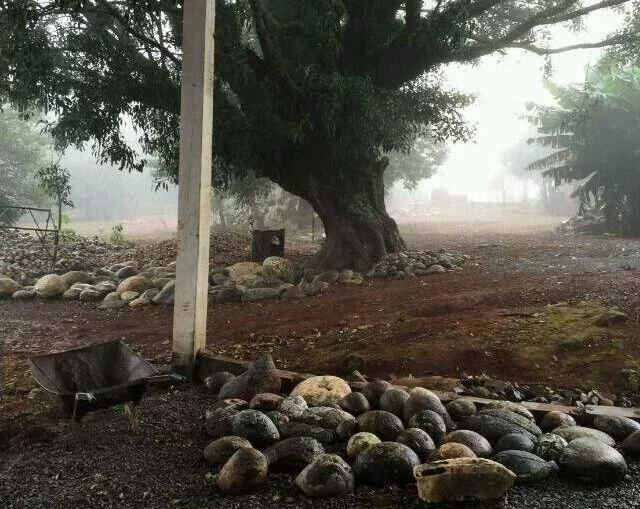 这个地方玛瑙如石头,不好看的玛瑙随便扔,真是想想都气死人 - 武汉老徐 - 武汉老徐的博客 这个地方玛瑙如石头,不好看的玛瑙随便扔,真是想想都气死人 - 武汉老徐 - 武汉老徐的博客