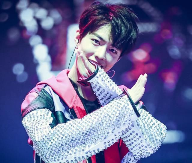 如果鹿晗不火了,这四位最有可能成为下一个鹿