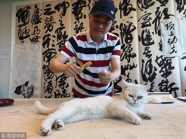 崔永元吸猫甘做铲屎官 回应炮轰范冰冰事件