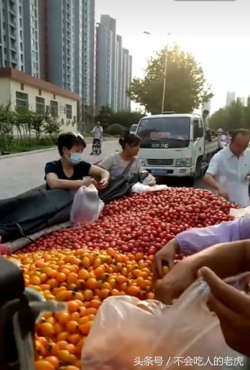 小贩大街边卖圣女果,一家四口边尝边挑,最后只
