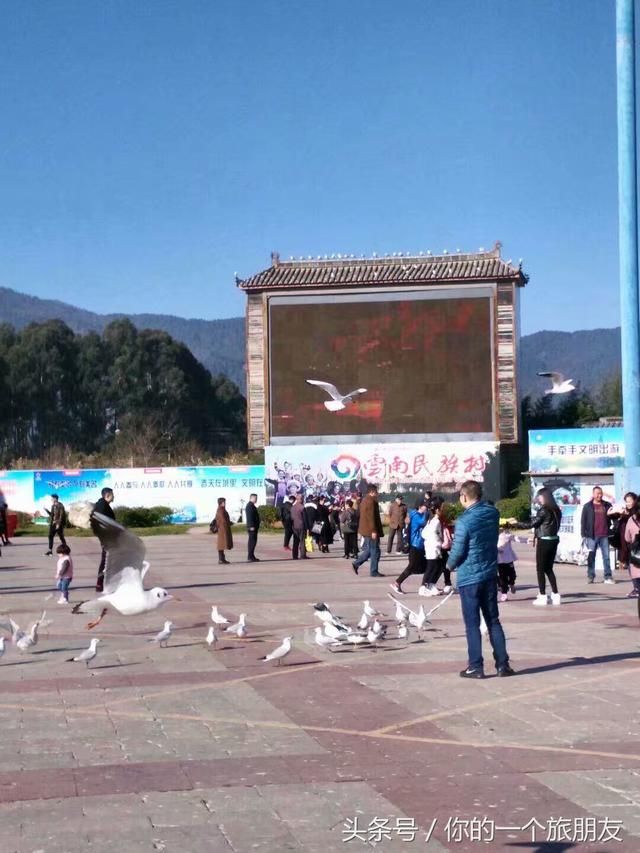 在南方的艳阳里逛云南大学，赏滇池美景