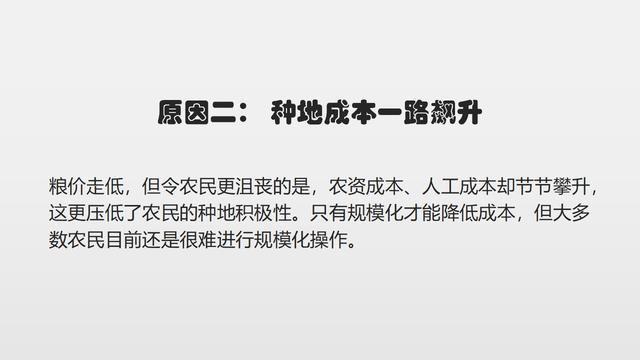 小麦减产、新麦不值钱!靠种植赚钱有多难?四大原因让农民不干了