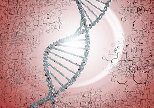 省钱快报是真的吗