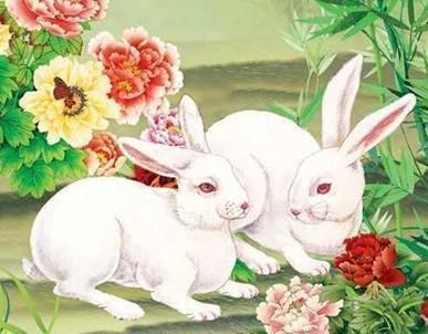 2018运势起伏大,需要提防小人的生肖