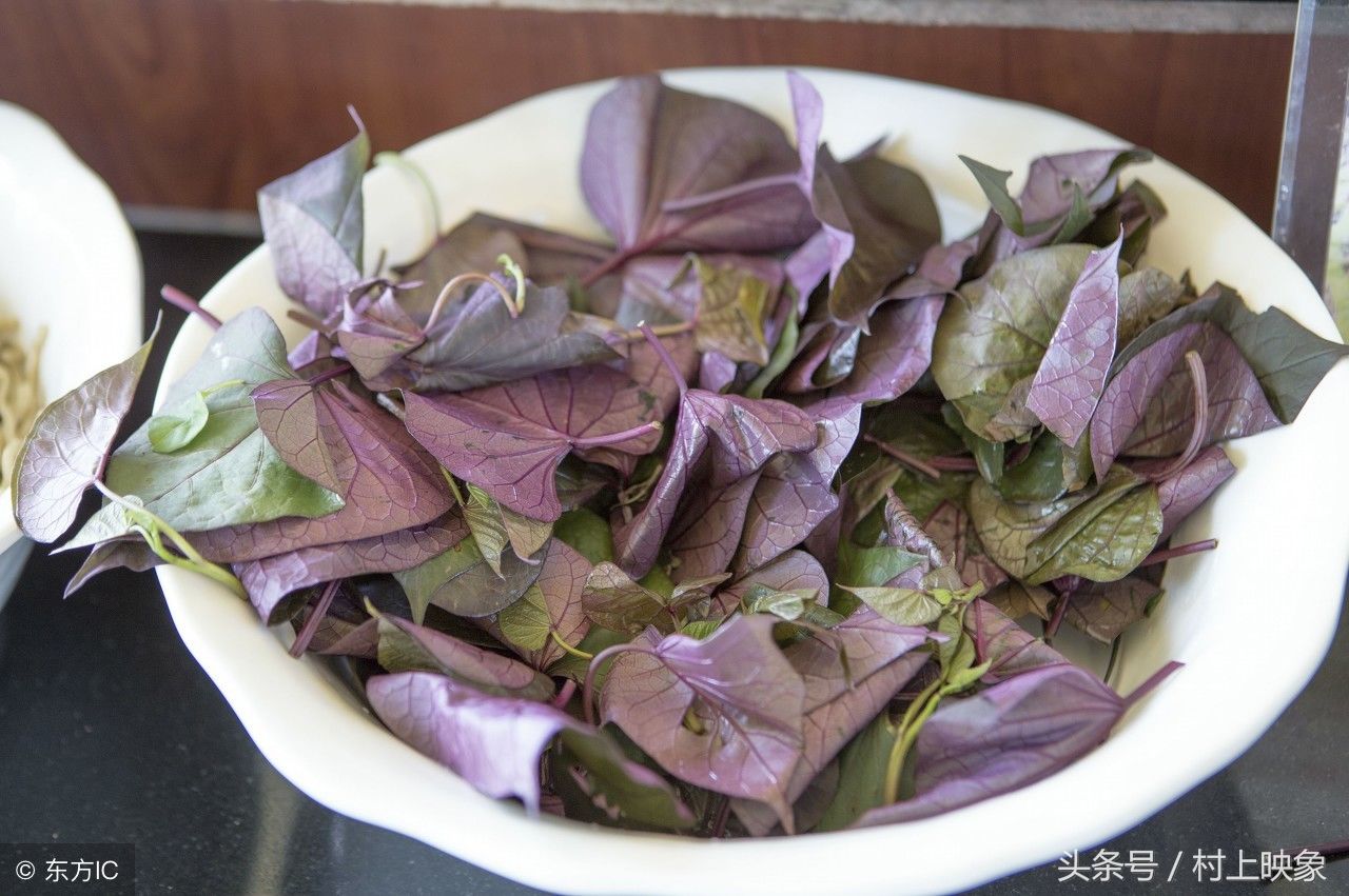 农村随处可见的地瓜叶这几种吃法最经典