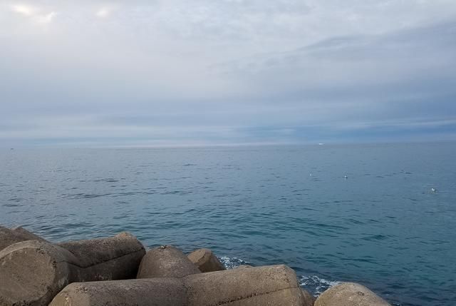 截止日期当天算不算