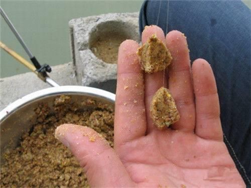 夏秋季野钓最新钓法:长竿包食钓,抗小鱼闹把大