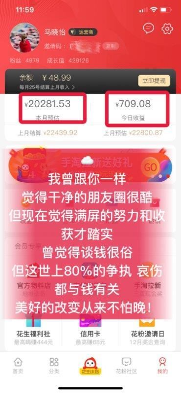 花生日记运营商,花生日日记怎么赚钱模式