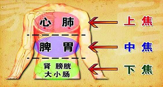 三焦经，人体最重要的一条经络，99%的人竟然不知道