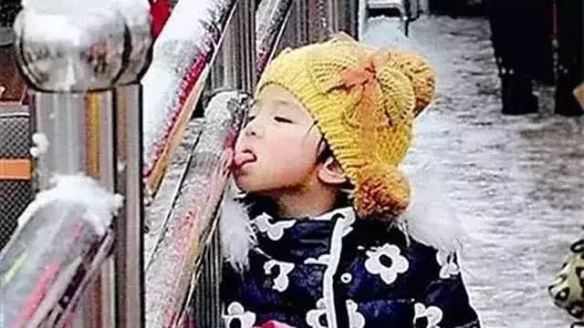 为什么东北下雪要晒饺子?南方人看不懂,北方