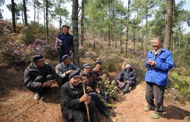 曾风靡一时的三种“摇钱树”，每个人都抢着种，他们到底赚了没？