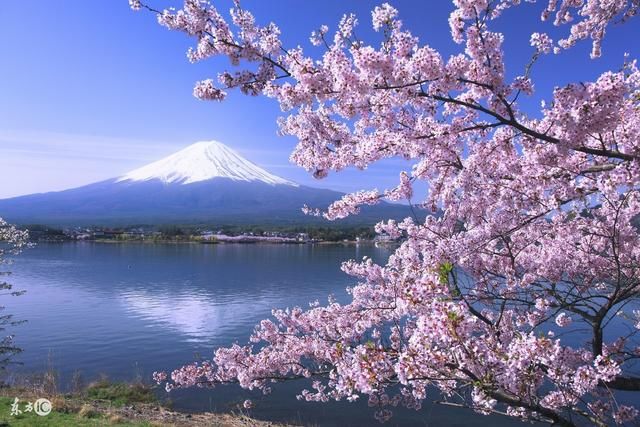 富士山周边景点的超详细攻略,带你玩转富士山