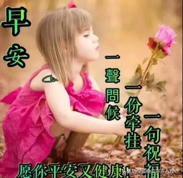 月9日周四群发清晨早上好祝福问候表情图片图字动画包表情很困带动态图片搞笑图片