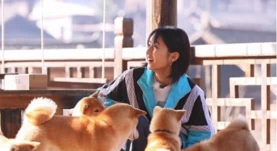 《向往的生活第三季》将开播,一如往常的温馨