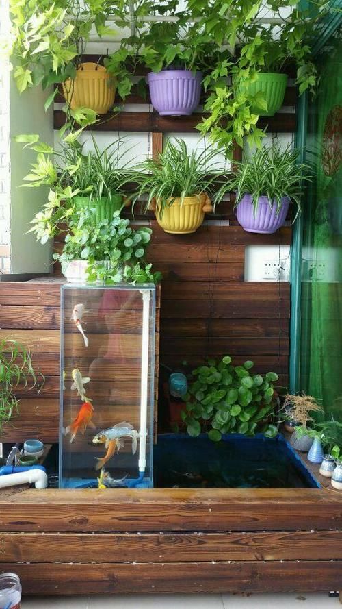 阳台DIY简易鱼池,用来养锦鲤或金鱼妥妥的!