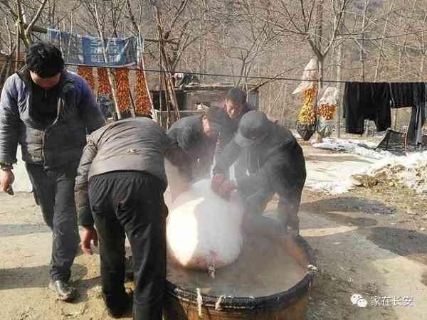 杀年猪，多年不见长安腊月农村年味儿生活场景！