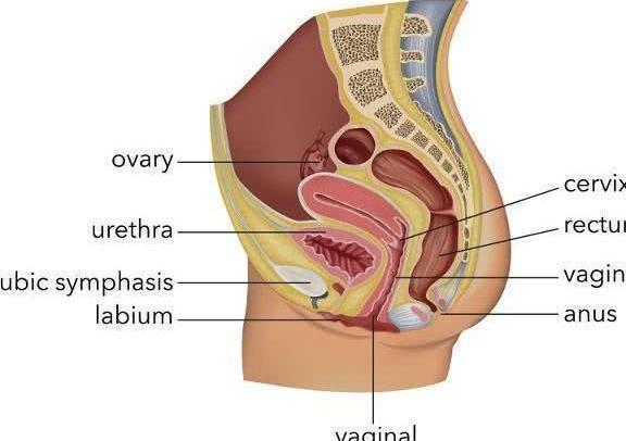 为什么有的人一喝水就有尿,有些人喝水多,却很