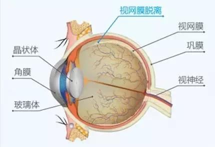 原来，眼皮跳竟可能是这种病的征兆!