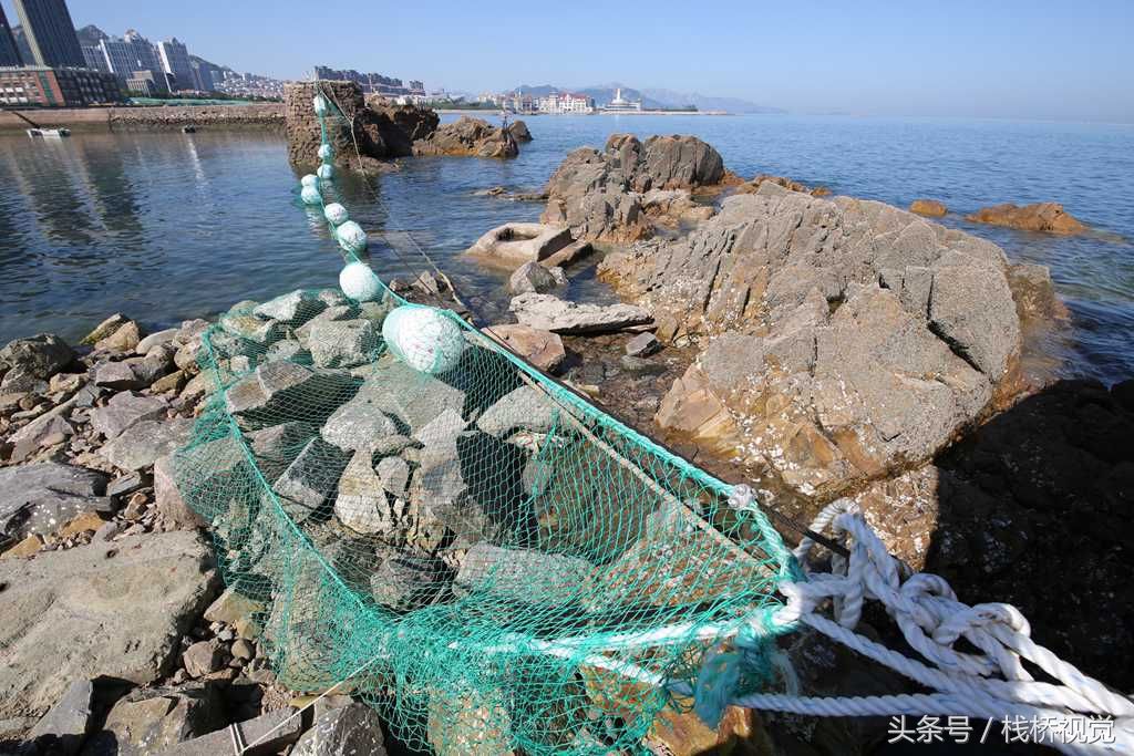 青岛设海上拦浒网防浒苔，今年江苏先治严防死守，不会作乱山东