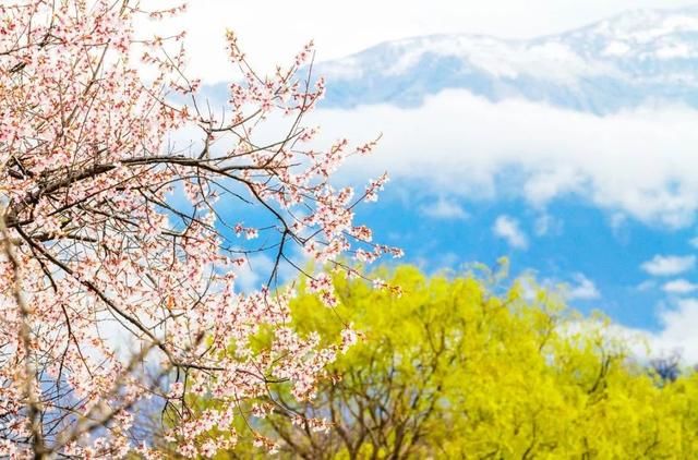 2018春天国内最美的30个地方,你去过几个?