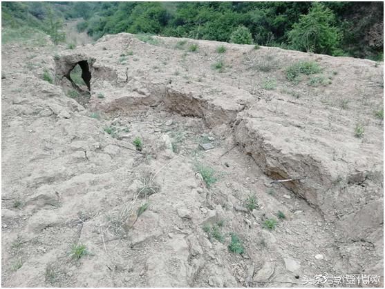 延长投资千万治沟造地遭荒弃 无法耕种惹民怨