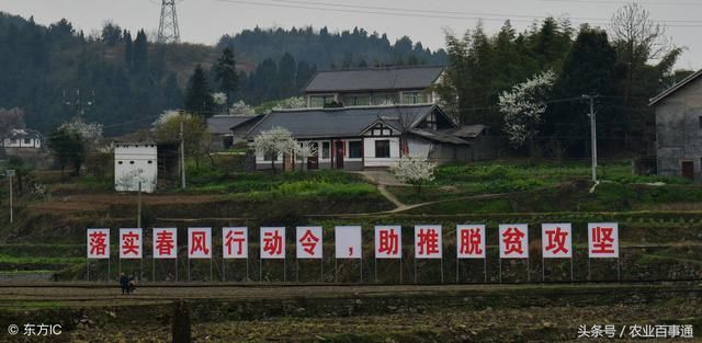 中央开会，明确2018年乡村振兴重点工作方向!作为农民不可不知!