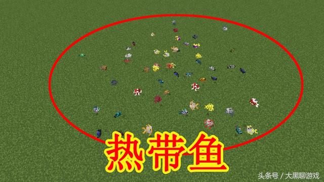 我的世界1.13最新版：新增1种最快生物、1种最矮生物和4种鱼类！