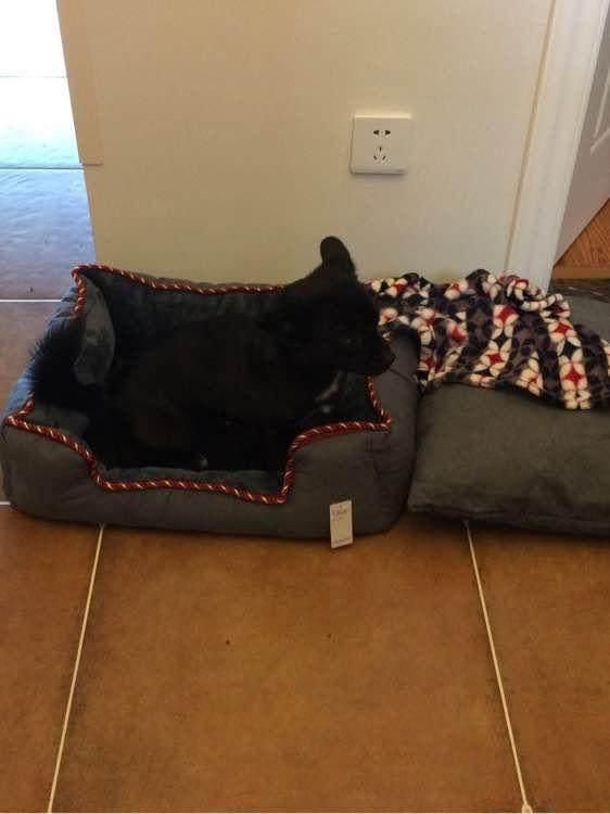 在北京花25w装修公摊48平的新房,比我乡下装