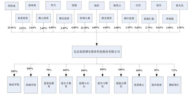 高思教育公司股权结构图