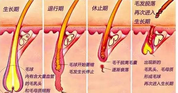 20岁女孩唇周长满红疙瘩，知道原因后后悔不已!