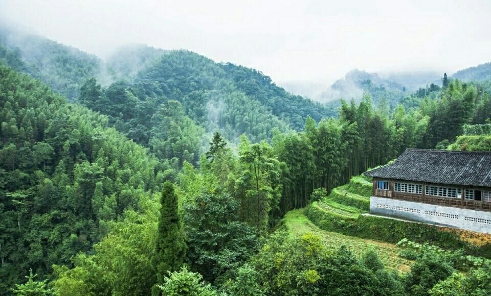 慢性咽炎会癌变吗?教你一方,轻松赶走咽炎不花