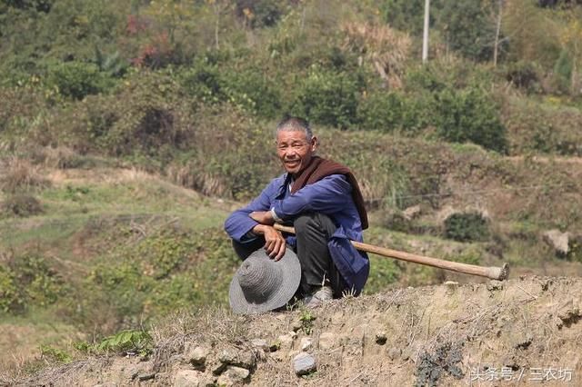 今年起，农村人要提前想好这3件事，判断失误，日子将越过越苦！