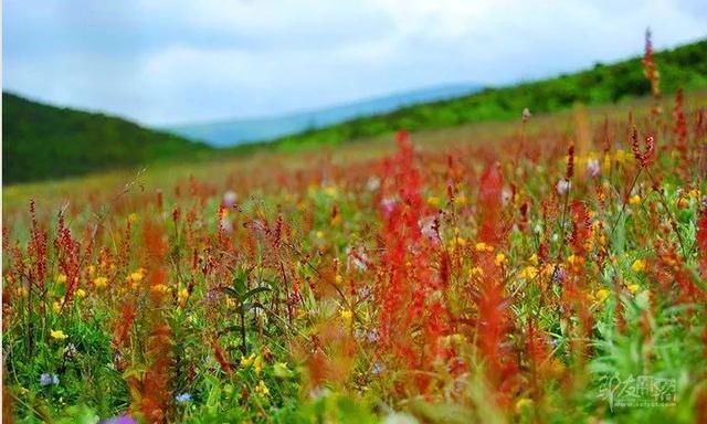 用数据发现四川最生态的旅行地就在乐山的……