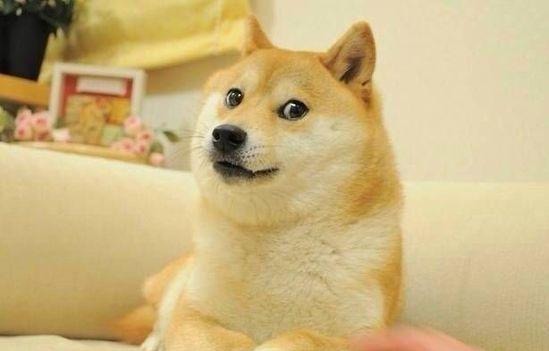 乌龙指?这家上市公司实控人买入自家股票后匆