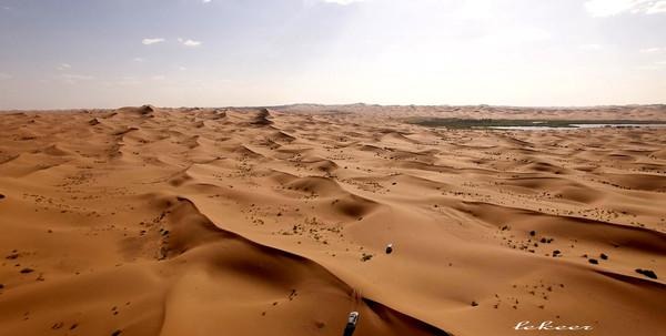 荒漠也不是荒漠了