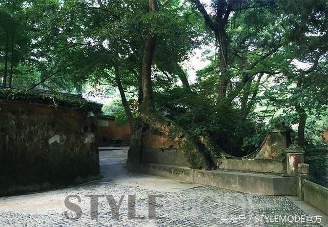 天台国清寺：隐于岁月山水间的隋代古刹