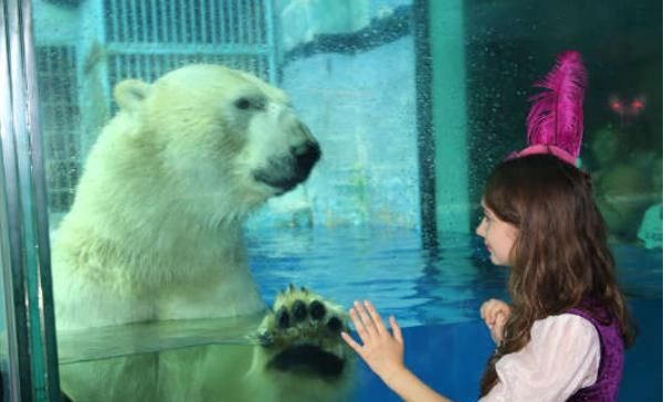 冰城哈尔滨描述