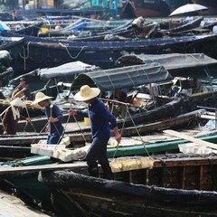 国家为什么不管北海