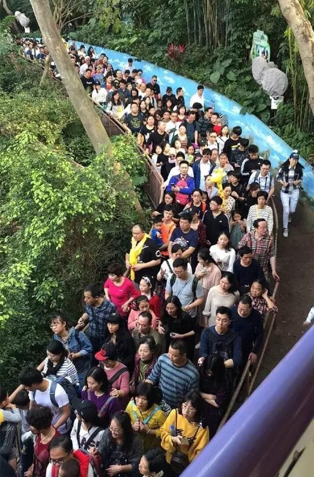 春节一天被4万多人围观 乐山大佛几乎被挤哭