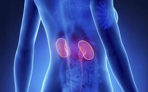 肾不好身体会有这几大症状,看医生教你如何预