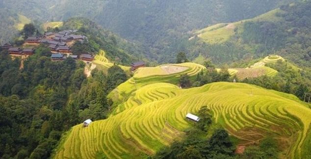 脱贫攻坚收官工作