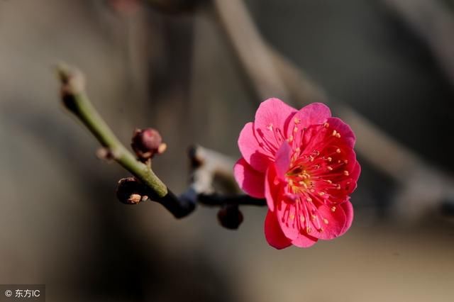 过日子，什么最重要？